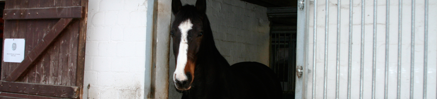 Turniersport-Förderung