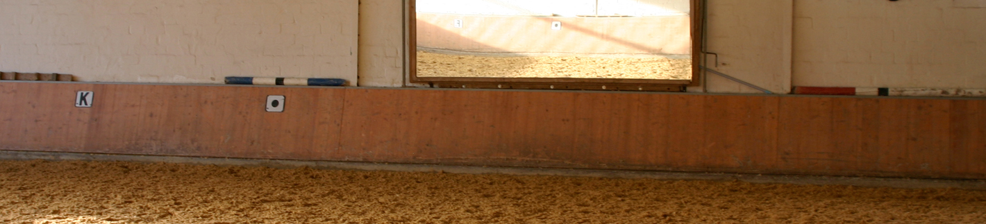 Lehrgänge & Unterricht